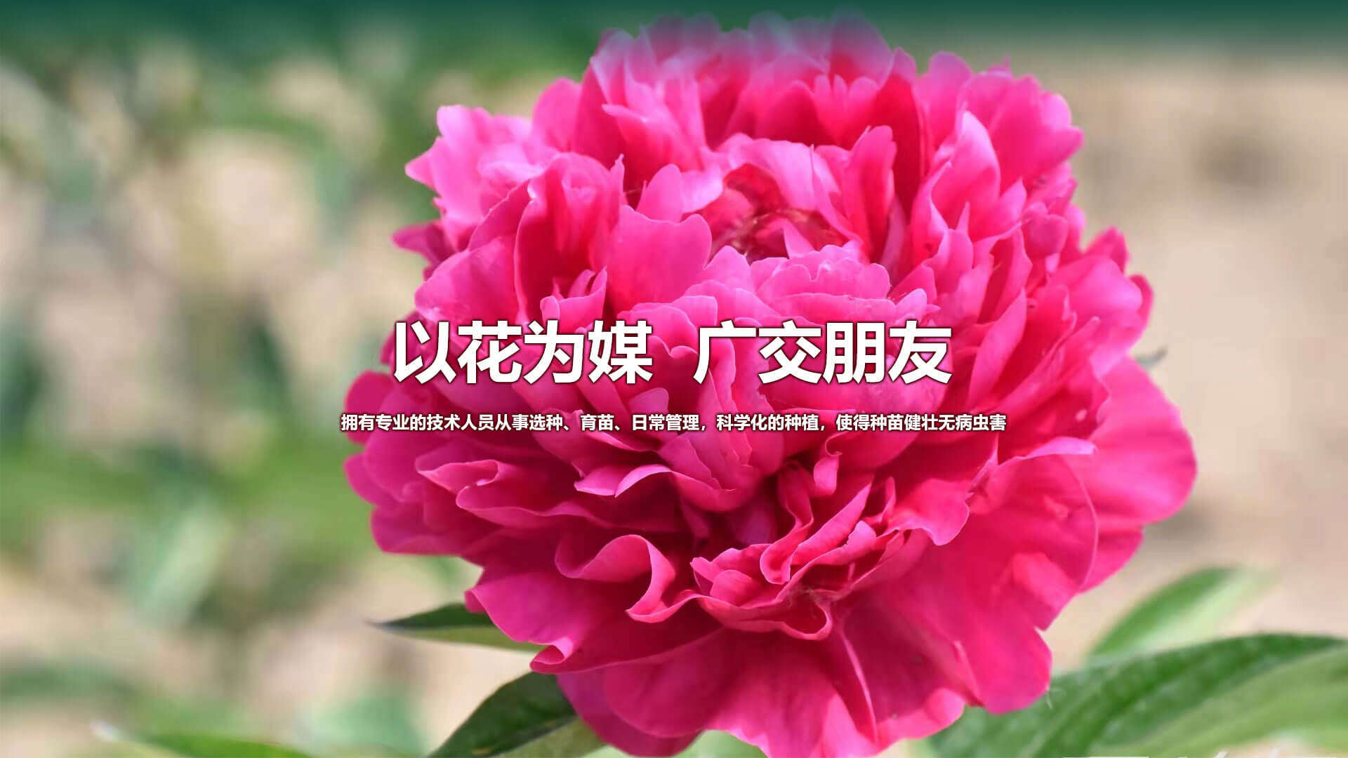 濰坊馳龍機(jī)電設(shè)備有限公司